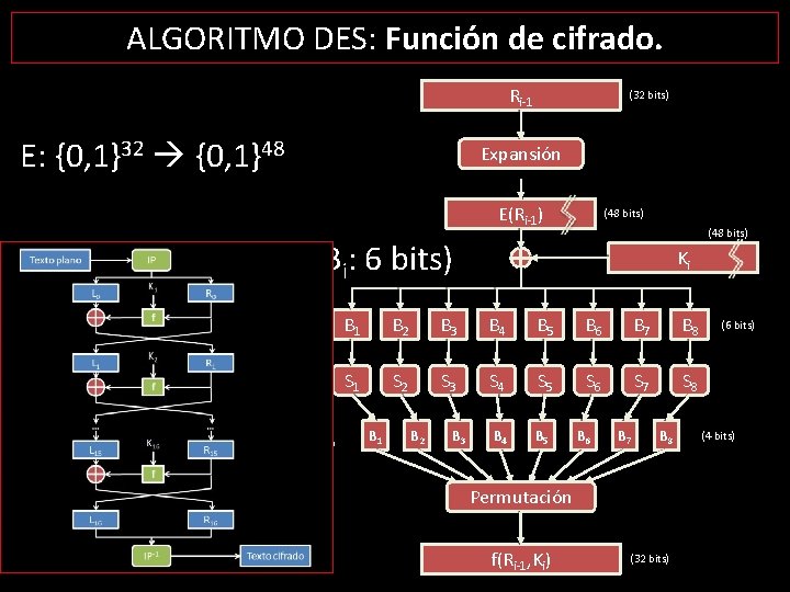 ALGORITMO DES: Función de cifrado. Ri-1 E: {0, 1}32 {0, 1}48 (32 bits) Expansión
