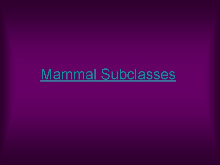 Mammal Subclasses 