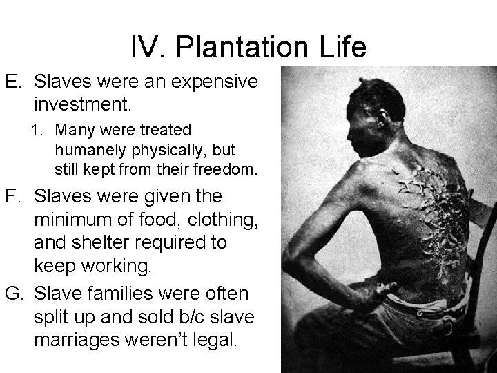 IV. Plantation Life E. Slaves were an expensive investment. 1. Many were treated humanely