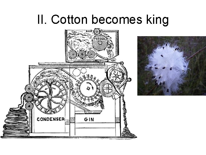 II. Cotton becomes king 