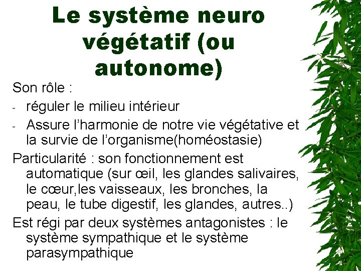 Le système neuro végétatif (ou autonome) Son rôle : - réguler le milieu intérieur