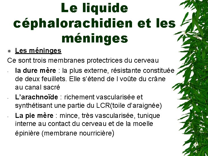 Le liquide céphalorachidien et les méninges Les méninges Ce sont trois membranes protectrices du