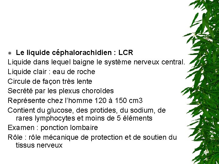 Le liquide céphalorachidien : LCR Liquide dans lequel baigne le système nerveux central. Liquide