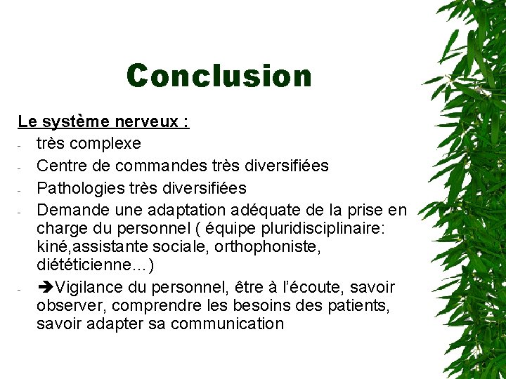 Conclusion Le système nerveux : - très complexe - Centre de commandes très diversifiées