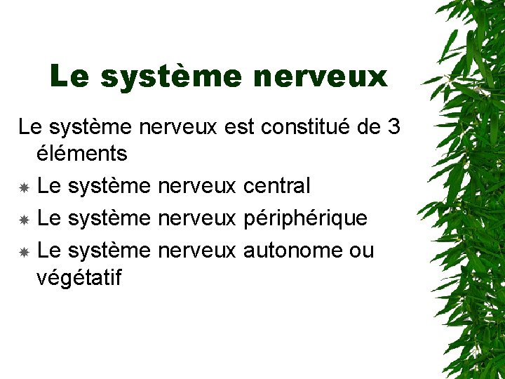 Le système nerveux est constitué de 3 éléments Le système nerveux central Le système