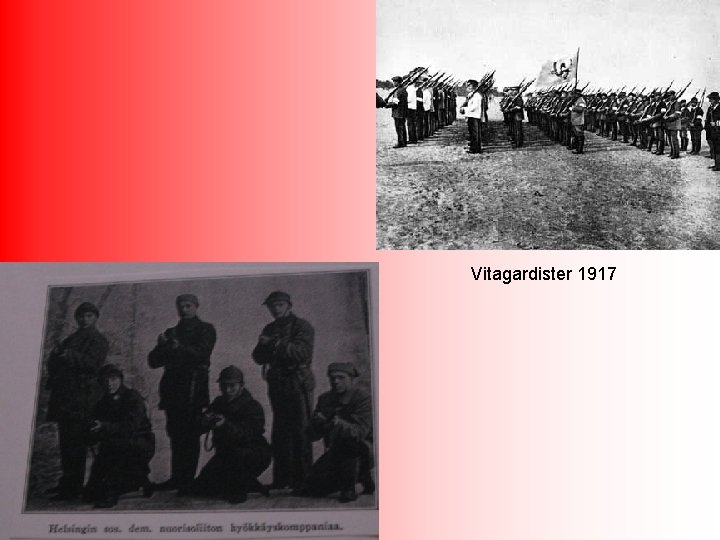 Vitagardister 1917 