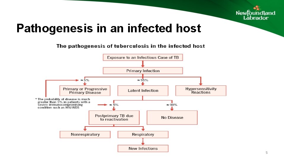 Pathogenesis in an infected host 5 