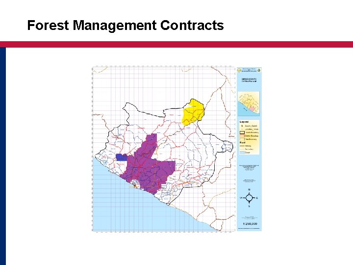 Forest Management Contracts 