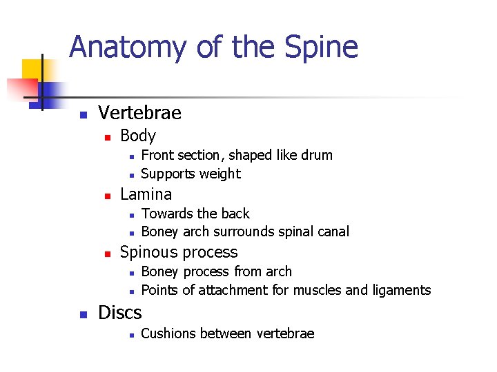 Anatomy of the Spine n Vertebrae n Body n n n Lamina n n
