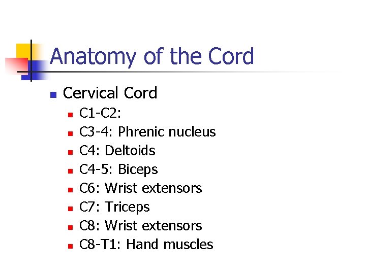 Anatomy of the Cord n Cervical Cord n n n n C 1 -C