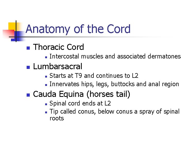 Anatomy of the Cord n Thoracic Cord n n Lumbarsacral n n n Intercostal