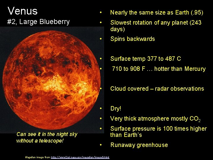Venus • Nearly the same size as Earth (. 95) #2, Large Blueberry •