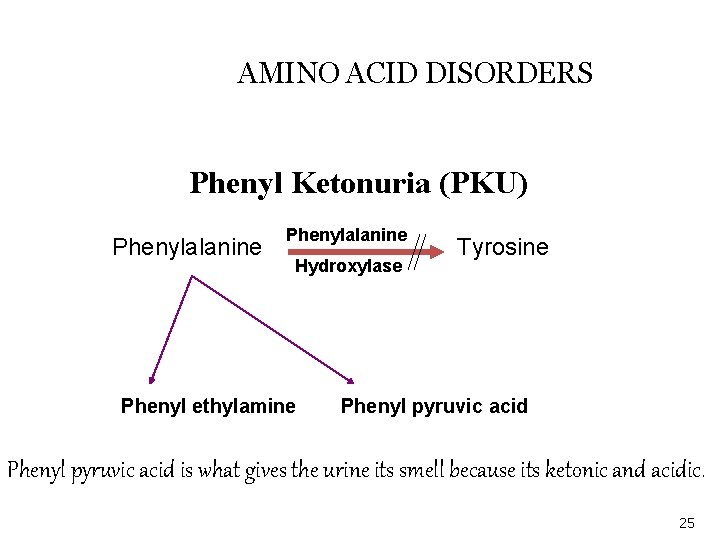 AMINO ACID DISORDERS Phenyl Ketonuria (PKU) Phenylalanine Hydroxylase Phenyl ethylamine Tyrosine Phenyl pyruvic acid