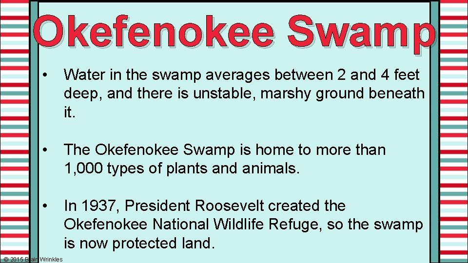 Okefenokee Swamp • Water in the swamp averages between 2 and 4 feet deep,