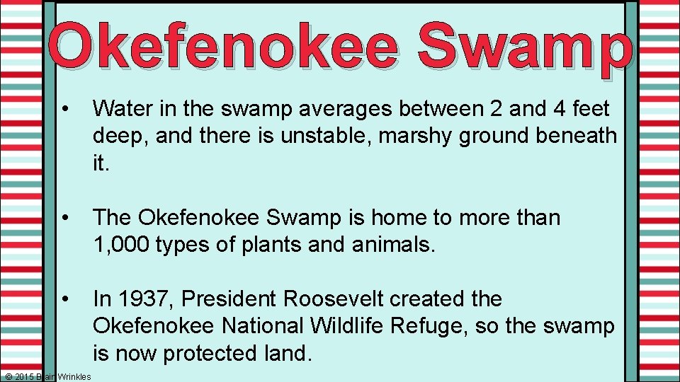 Okefenokee Swamp • Water in the swamp averages between 2 and 4 feet deep,