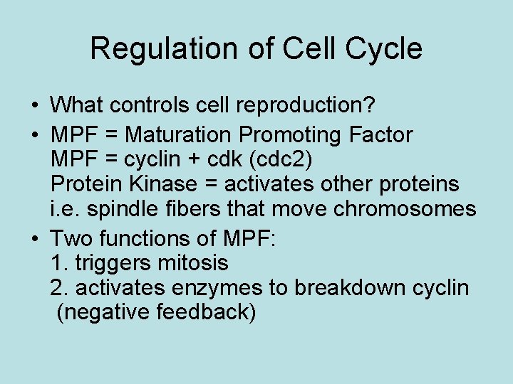 Regulation of Cell Cycle • What controls cell reproduction? • MPF = Maturation Promoting