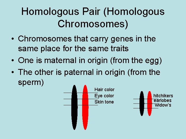 Homologous Pair (Homologous Chromosomes) • Chromosomes that carry genes in the same place for