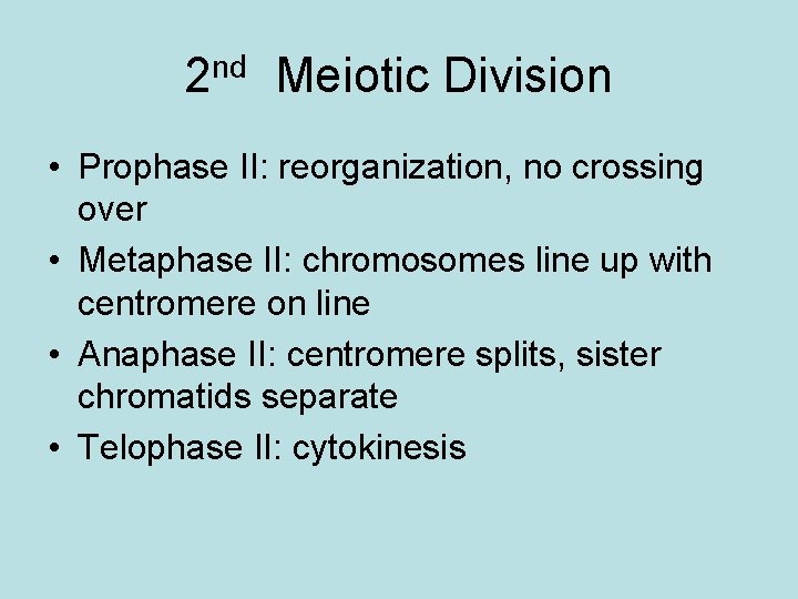 2 nd Meiotic Division • Prophase II: reorganization, no crossing over • Metaphase II: