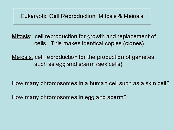 Eukaryotic Cell Reproduction: Mitosis & Meiosis Mitosis: cell reproduction for growth and replacement of