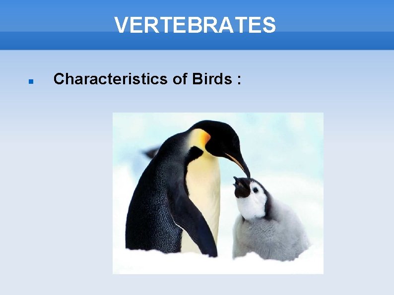 VERTEBRATES Characteristics of Birds : 