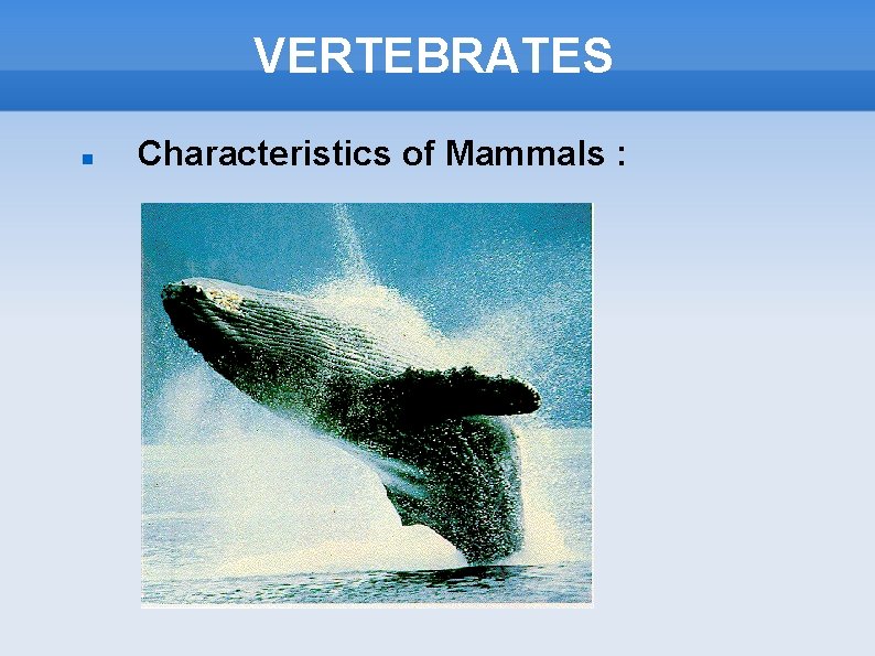 VERTEBRATES Characteristics of Mammals : 