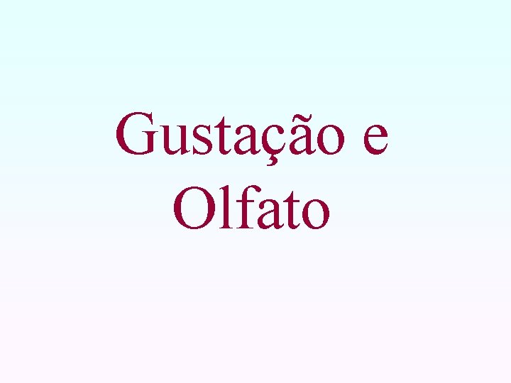 Gustação e Olfato 