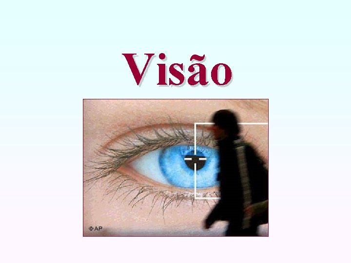 Visão 