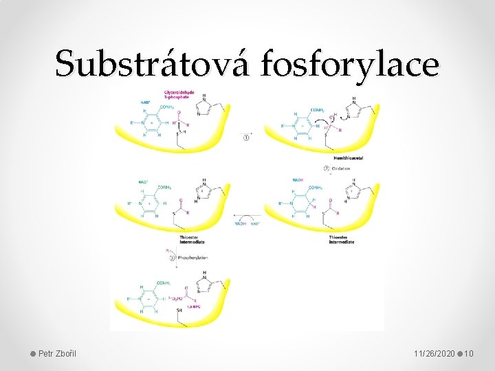 Substrátová fosforylace Petr Zbořil 11/26/2020 10 