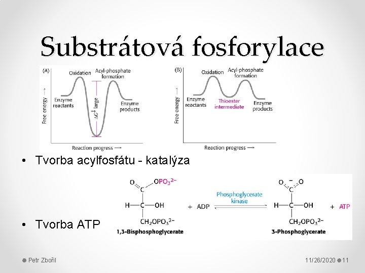 Substrátová fosforylace • Tvorba acylfosfátu - katalýza • Tvorba ATP Petr Zbořil 11/26/2020 11
