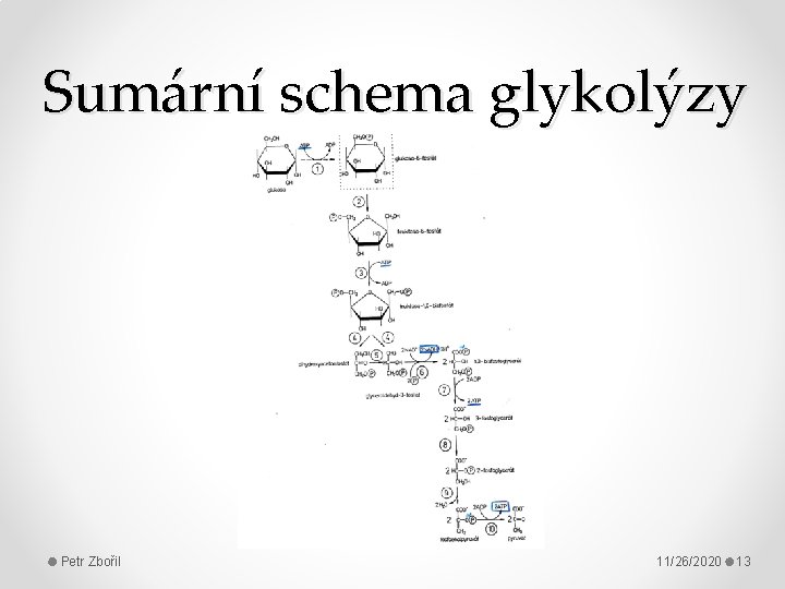 Sumární schema glykolýzy Petr Zbořil 11/26/2020 13 