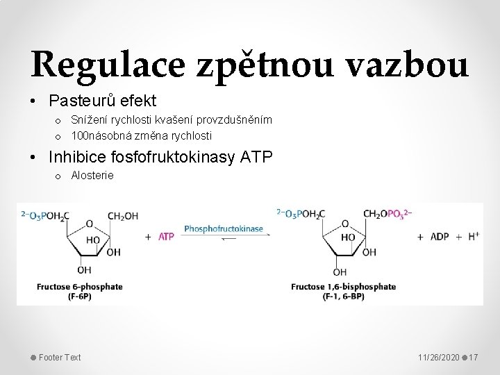 Regulace zpětnou vazbou • Pasteurů efekt o Snížení rychlosti kvašení provzdušněním o 100 násobná