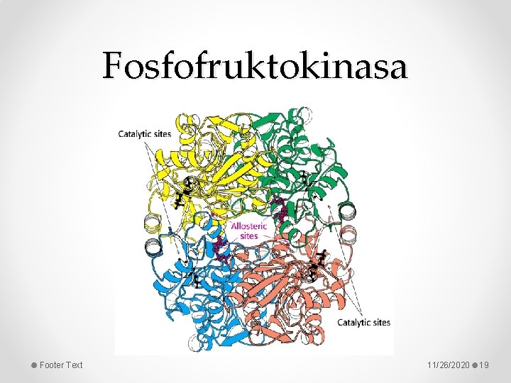 Fosfofruktokinasa Footer Text 11/26/2020 19 