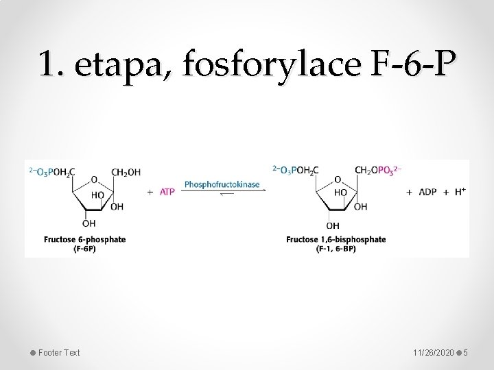 1. etapa, fosforylace F-6 -P Footer Text 11/26/2020 5 