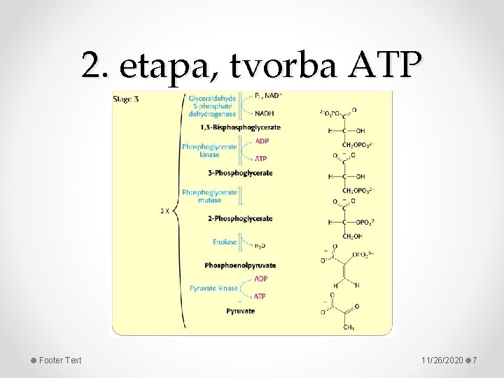 2. etapa, tvorba ATP Footer Text 11/26/2020 7 