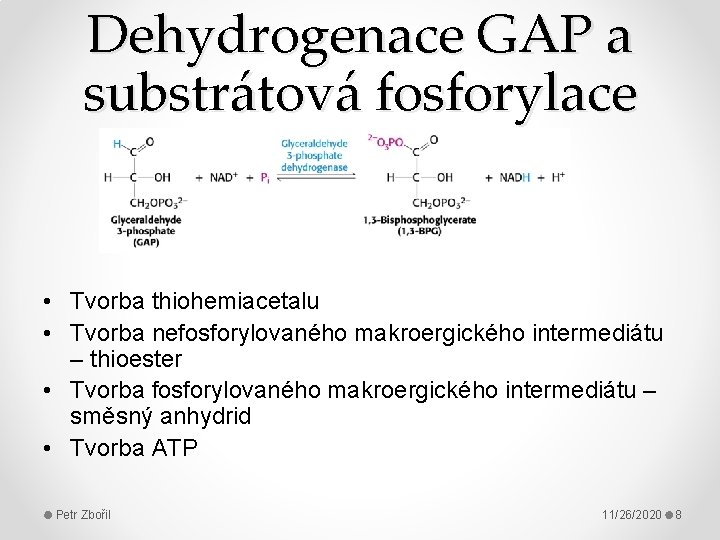 Dehydrogenace GAP a substrátová fosforylace • Tvorba thiohemiacetalu • Tvorba nefosforylovaného makroergického intermediátu –