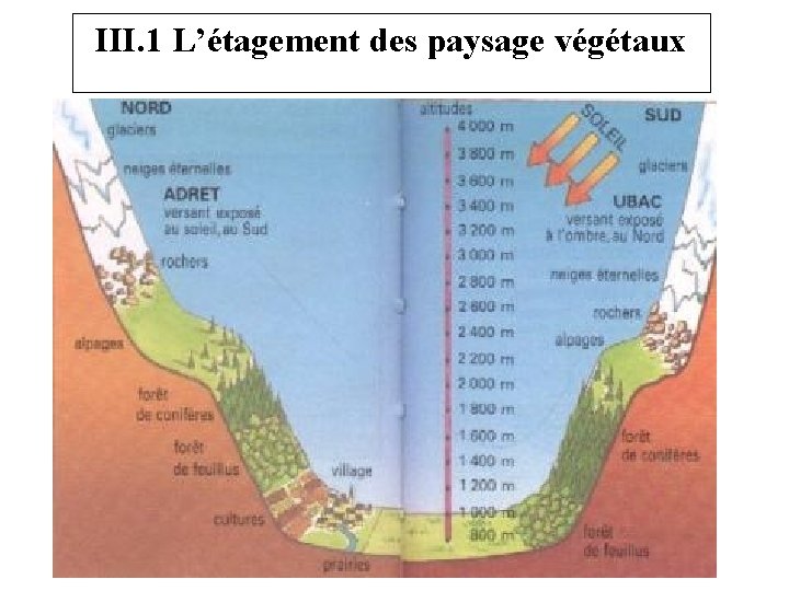 III. 1 L’étagement des paysage végétaux 