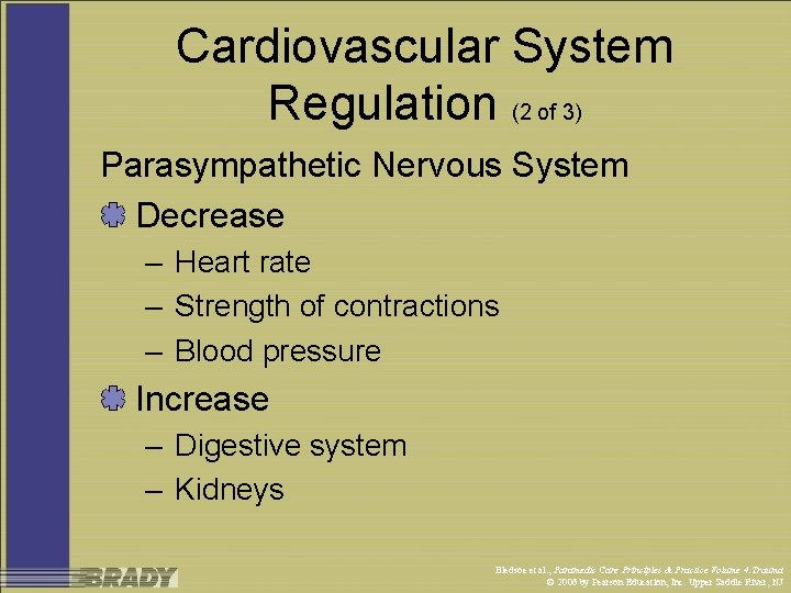 Cardiovascular System Regulation (2 of 3) Parasympathetic Nervous System Decrease – Heart rate –