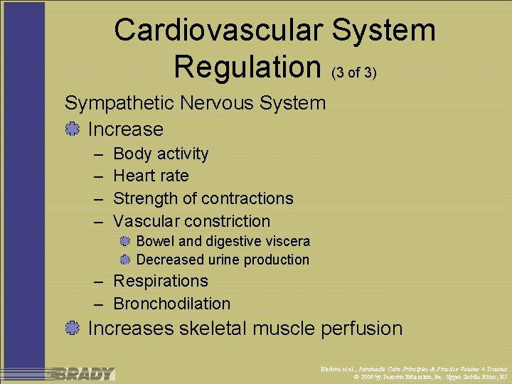 Cardiovascular System Regulation (3 of 3) Sympathetic Nervous System Increase – – Body activity