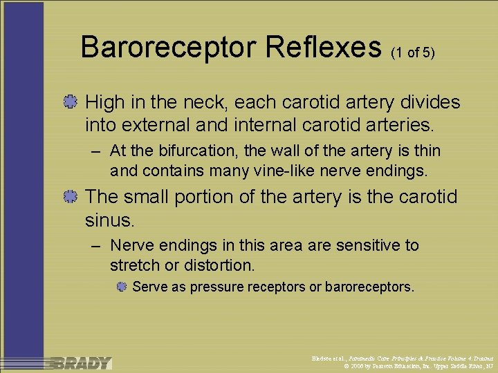 Baroreceptor Reflexes (1 of 5) High in the neck, each carotid artery divides into