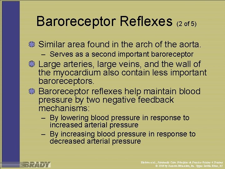 Baroreceptor Reflexes (2 of 5) Similar area found in the arch of the aorta.