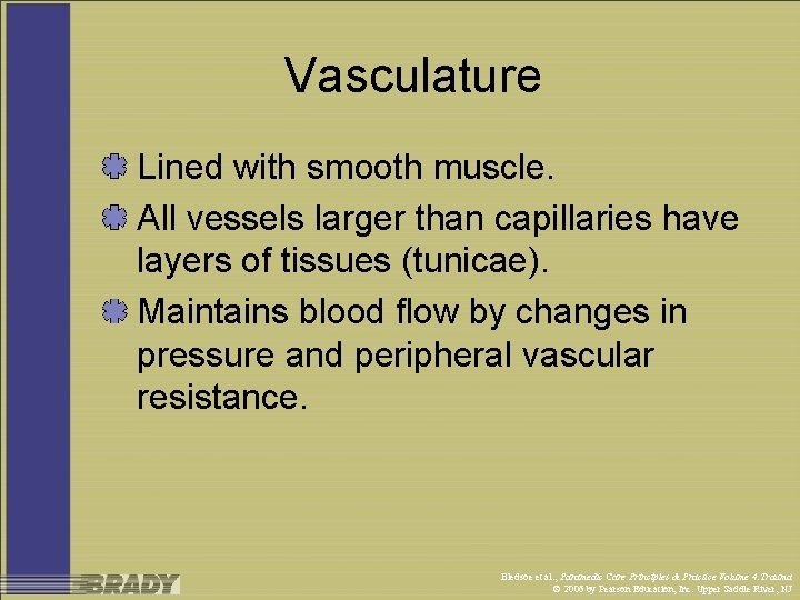 Vasculature Lined with smooth muscle. All vessels larger than capillaries have layers of tissues