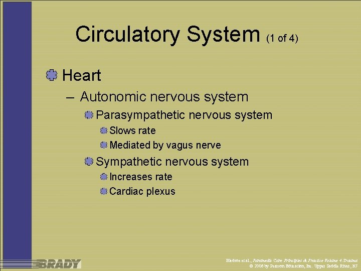 Circulatory System (1 of 4) Heart – Autonomic nervous system Parasympathetic nervous system Slows