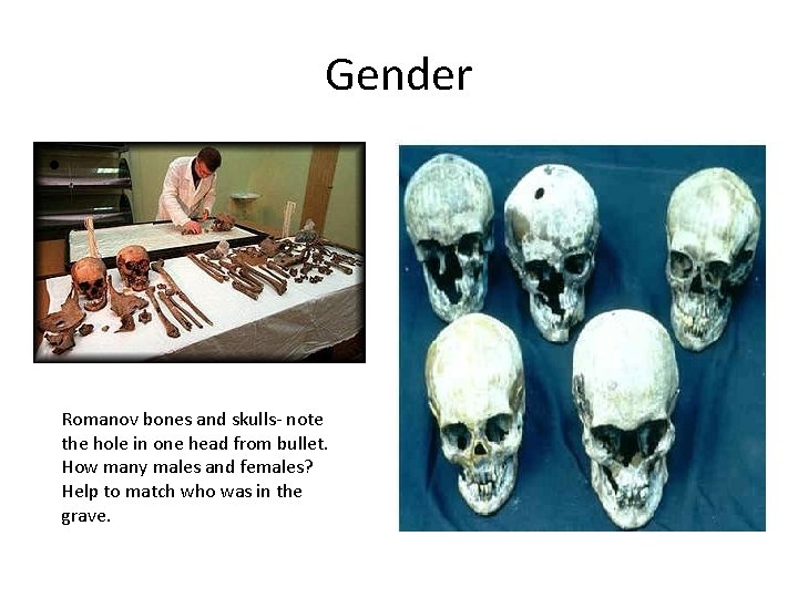 Gender • Romanov bones and skulls- note the hole in one head from bullet.