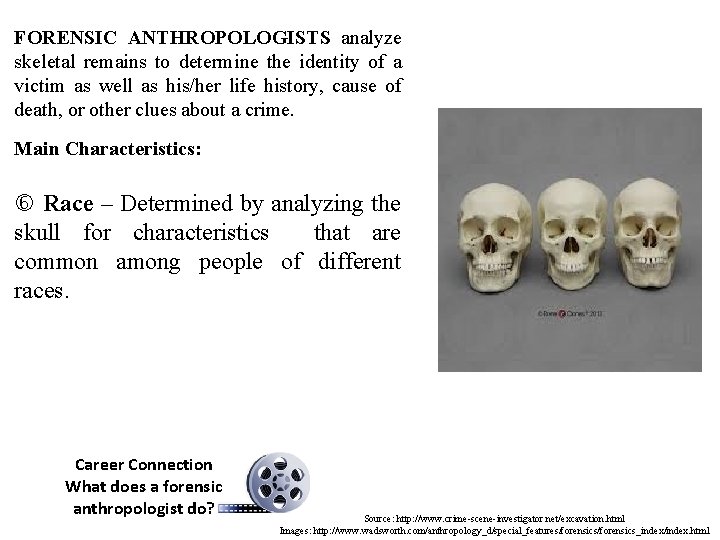 FORENSIC ANTHROPOLOGISTS analyze skeletal remains to determine the identity of a victim as well