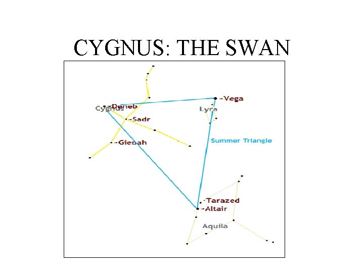 CYGNUS: THE SWAN 