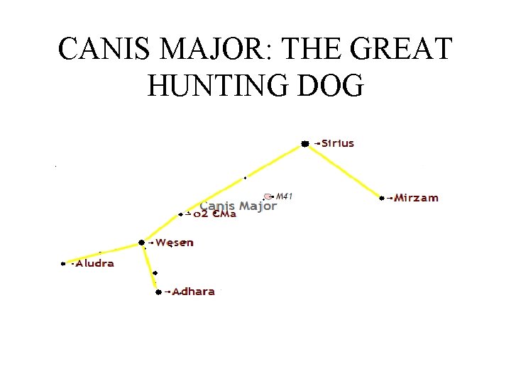CANIS MAJOR: THE GREAT HUNTING DOG 