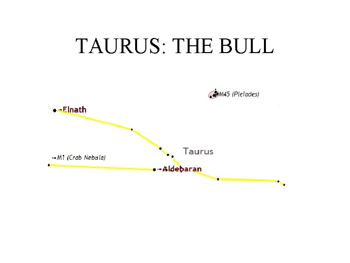 TAURUS: THE BULL 