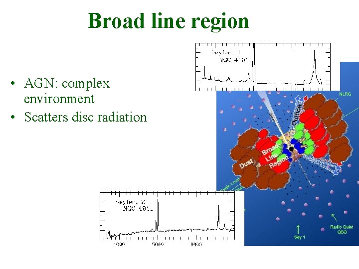 Broad line region • AGN: complex environment • Scatters disc radiation 