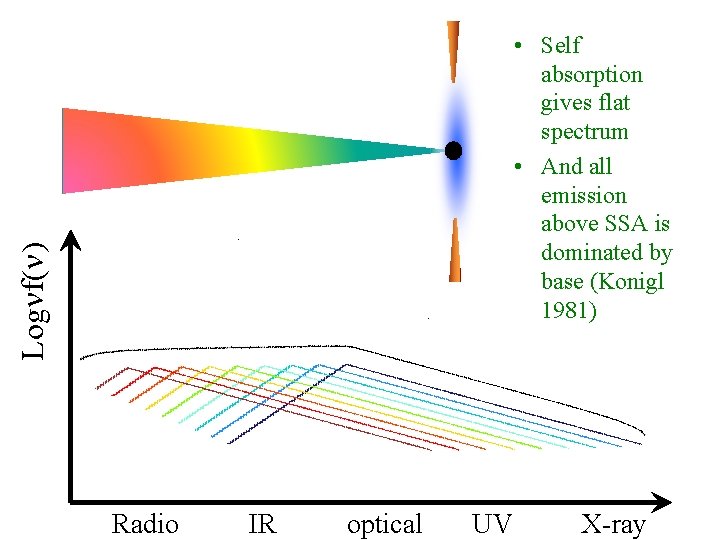 Lognf(n) • Self absorption gives flat spectrum • And all emission above SSA is