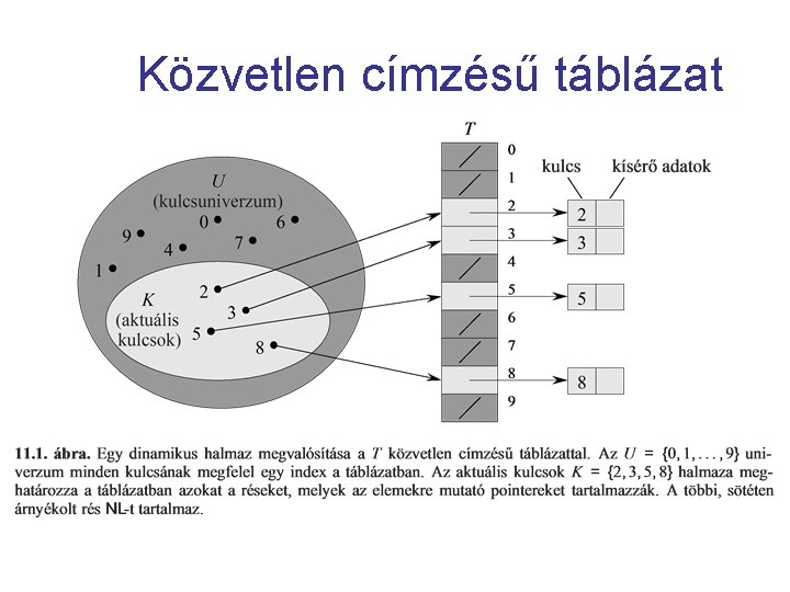 Közvetlen címzésű táblázat 